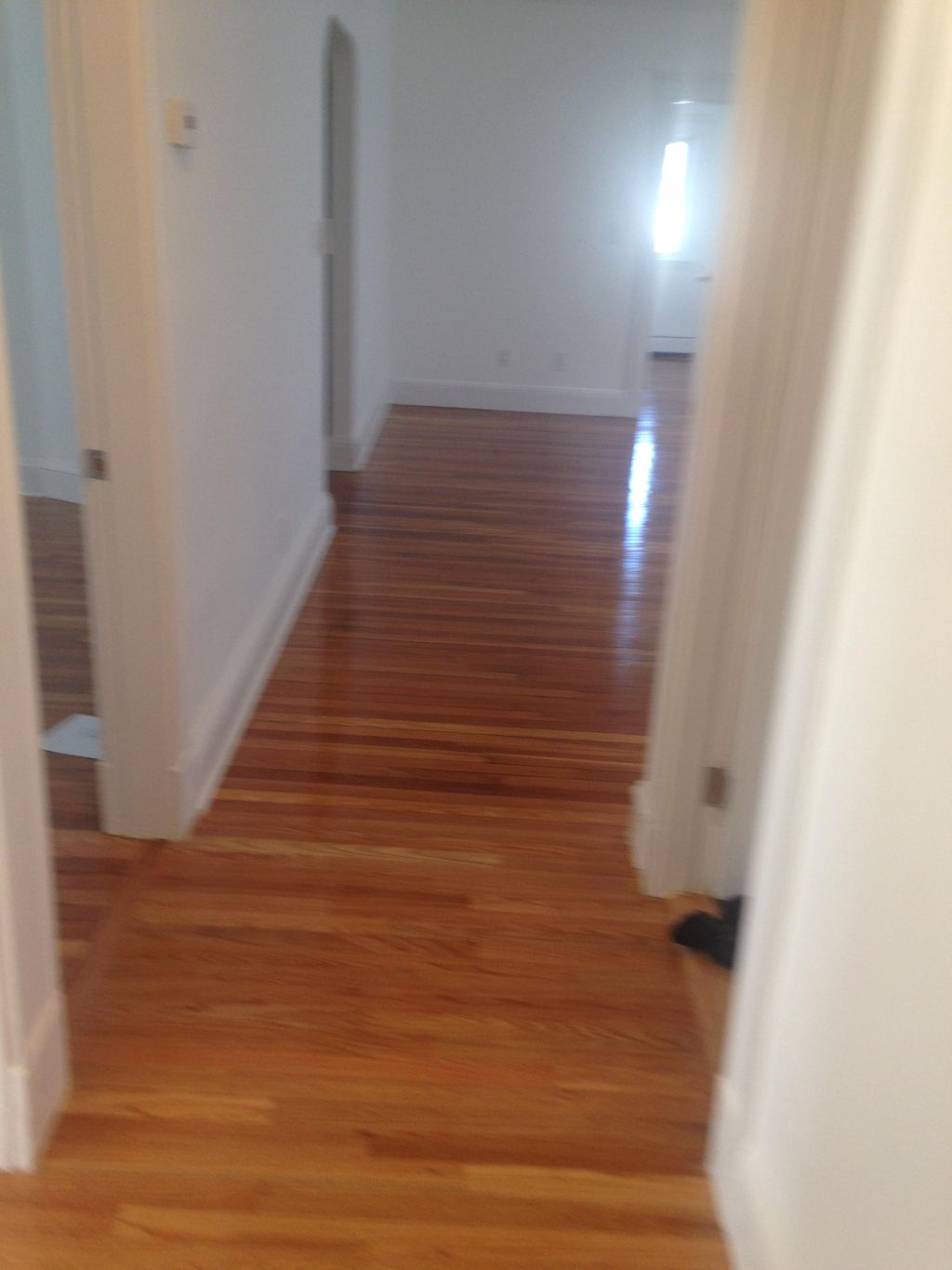 floor cleaner