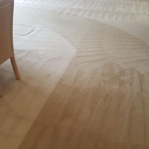Carpet cleaning after moving customers furniture o