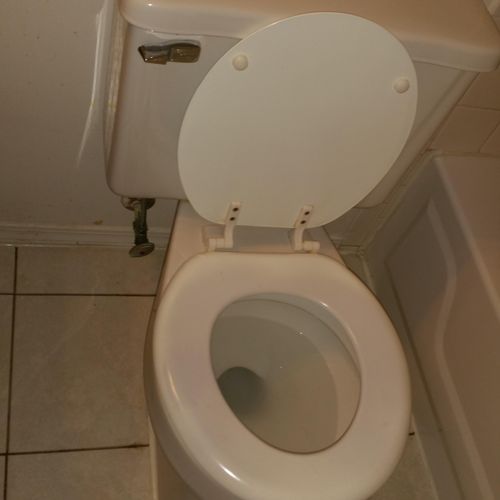 Toilet after its cleaned