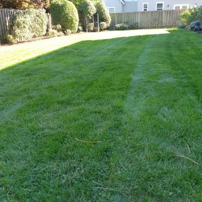 New Green Landscaping Llc Vancouver Wa