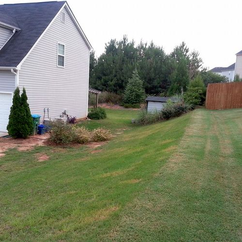 This is after and the lawn is healthy and is still