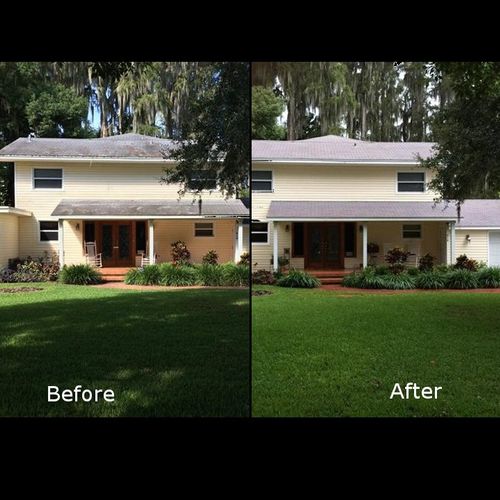 before and after roof cleaning LUTZ