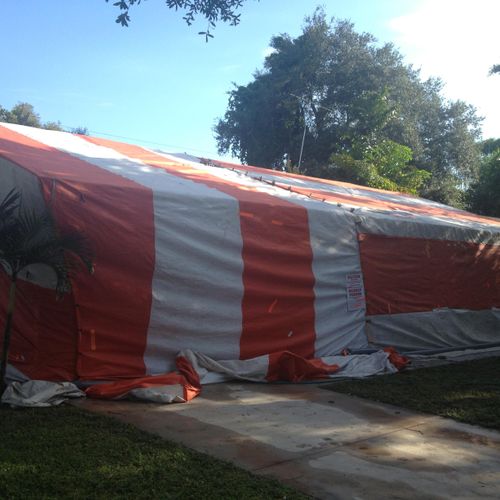 Tent Fumigation