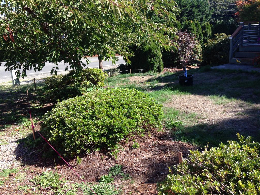 A complete renovation required.
Port Orchard WA.