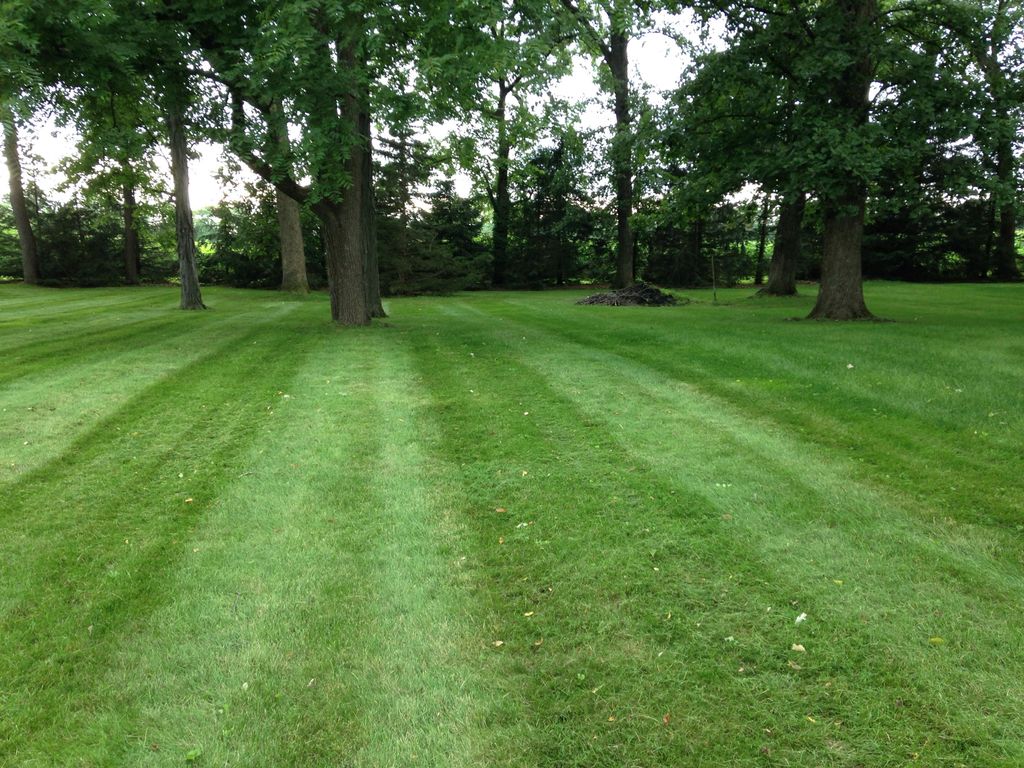 CJM Lawncare