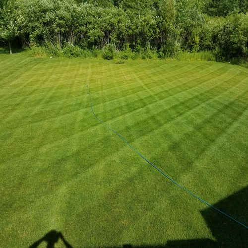 We take pride in the quality of our lawn care. Share your excitement with us as you realize that you have the best-looking lawn on the block!