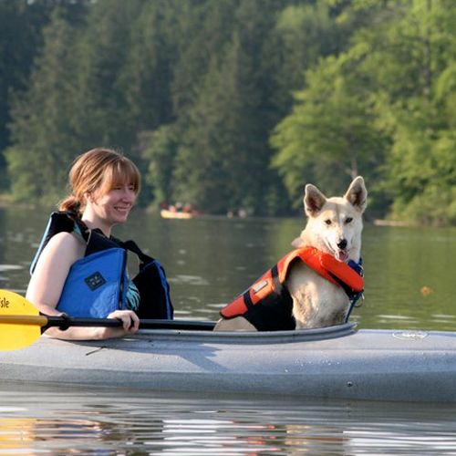 Linney, Alaskan Husky, trained to go kayaking!