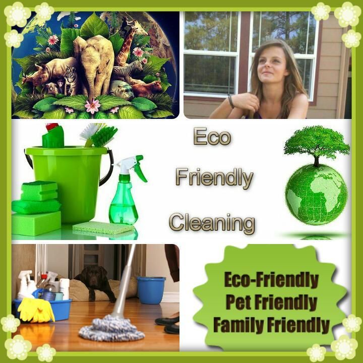 Katie's House Cleaning Service: Providing Ease ...