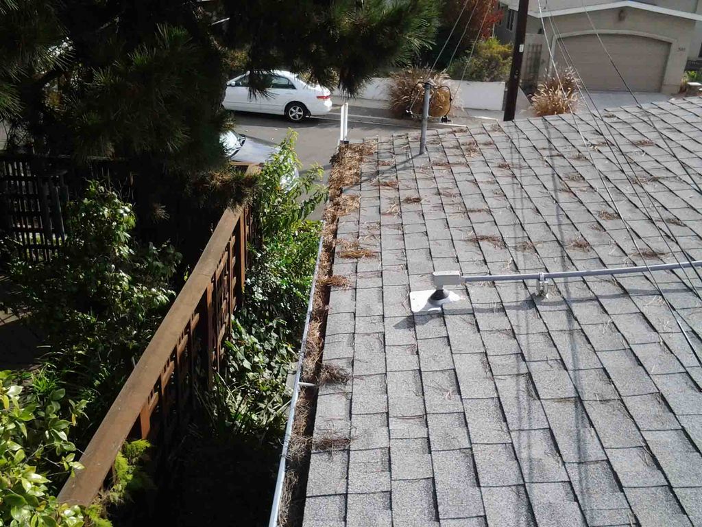 Gutter Cleaning - Before