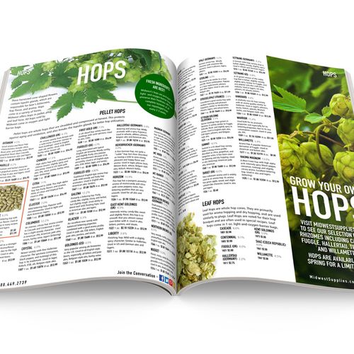 Midwest Supplies Homebrewing & Winemaking catalog.