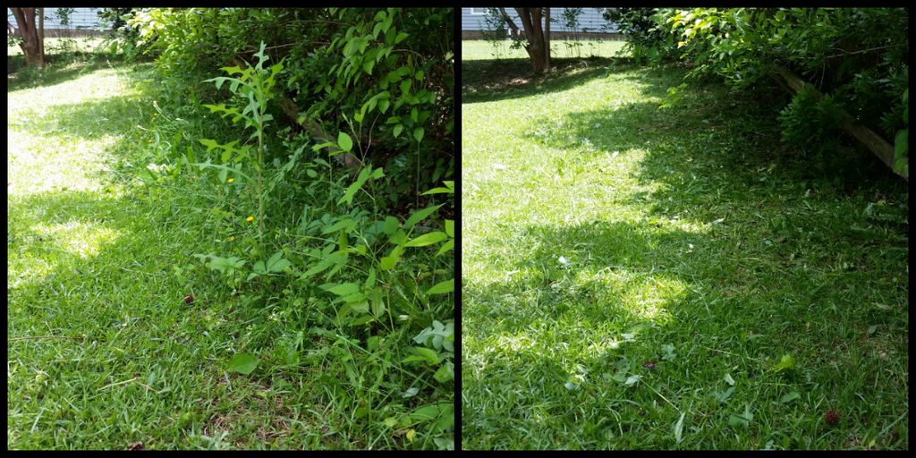 Weed wacking where the mowers don't reach