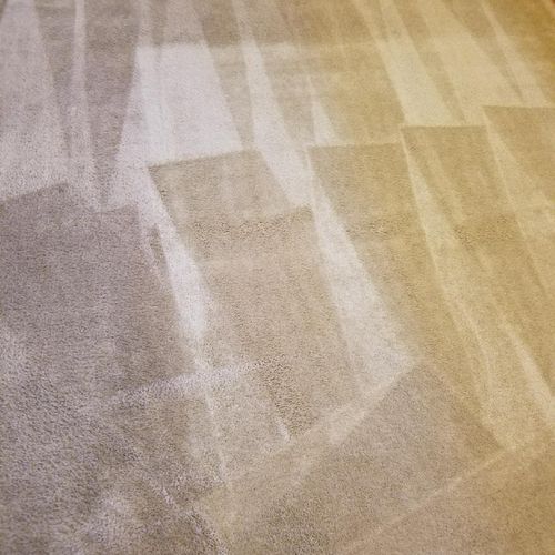 Carpet After 6/27/2017
