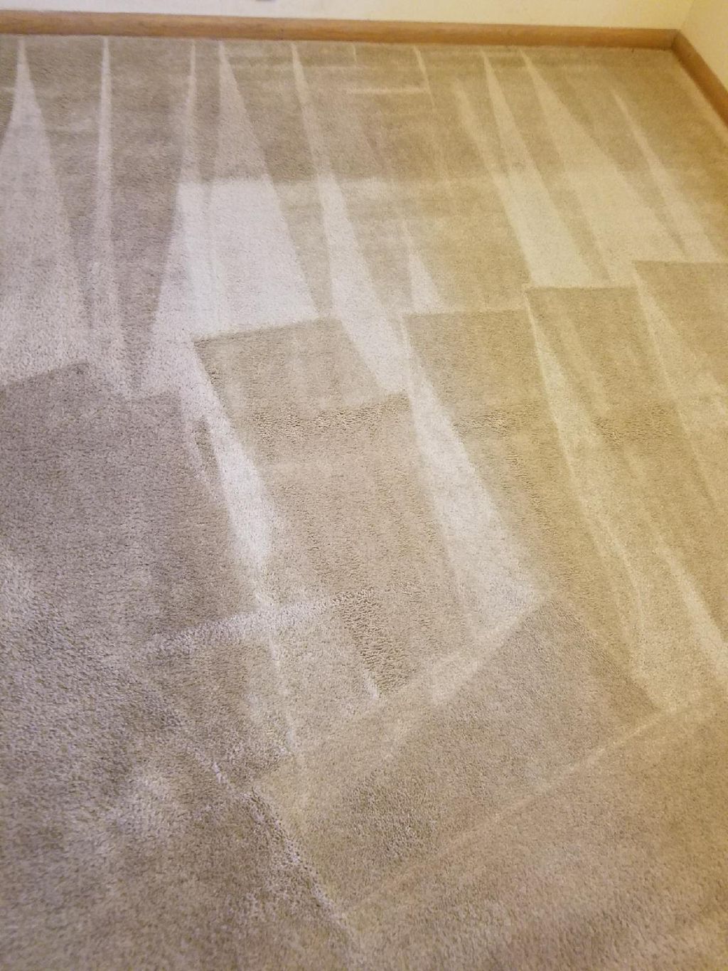 Carpet After 6/27/2017