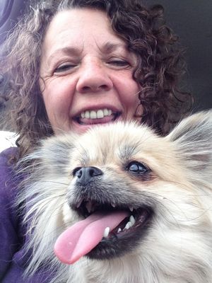 Avatar for Dog Gone Smart