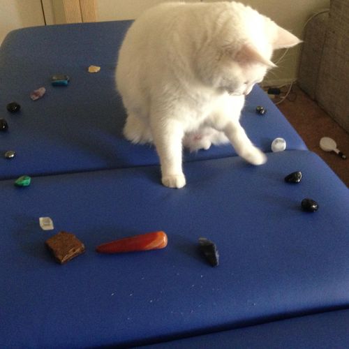 My sweet cat, playing with Reiki-charged crystals.