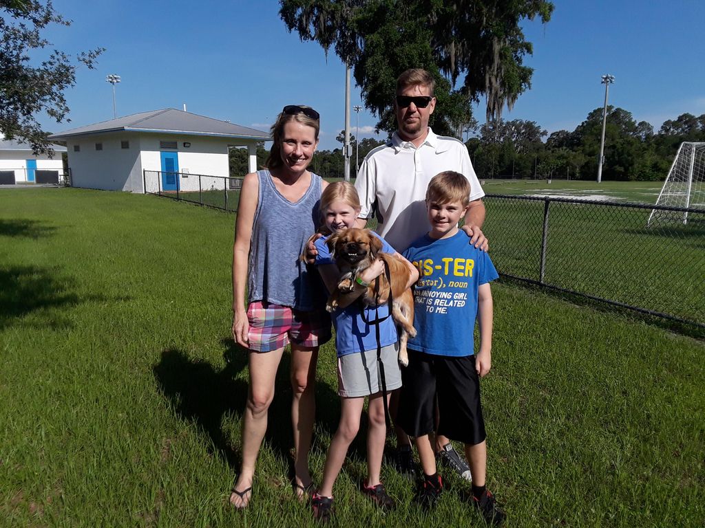 Remmy the peekapoo graduated from our Dependable D