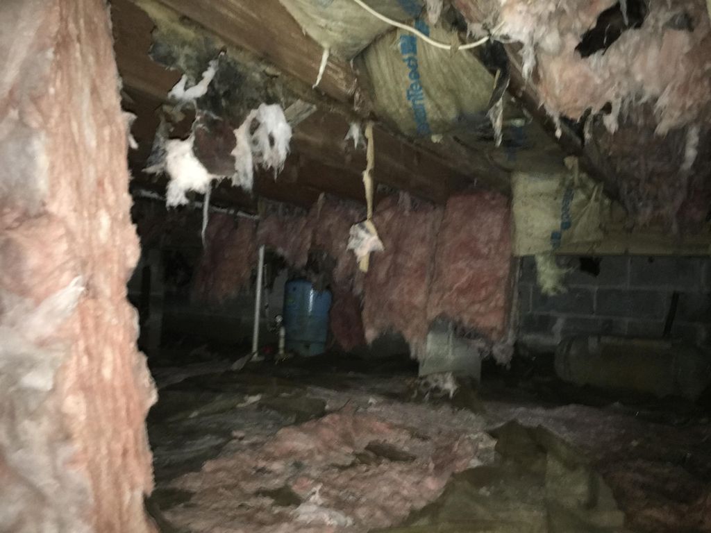 Before Picture of Moldy Crawlspace