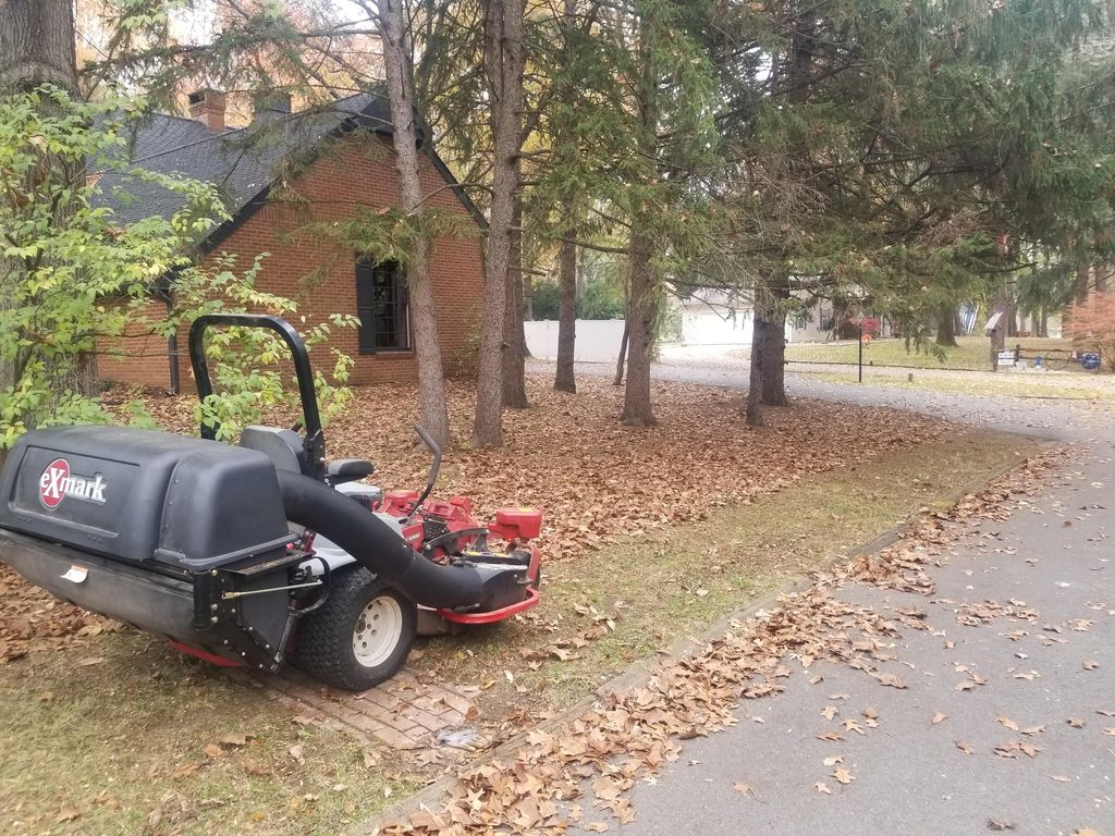 Jason's lawn care and odd jobs