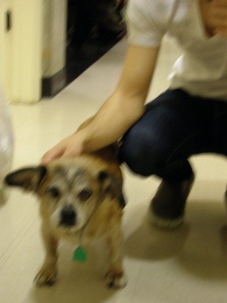 A little blurry, but another one of the precious J