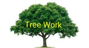 Oak Tree Service