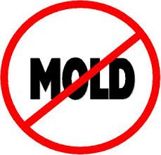 We kill mold not budgets