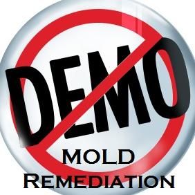 No Demo Mold, LLC