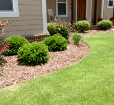 Grass is the easy part, landscaping takes knowledg