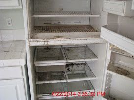 Before photo of refrigerator.