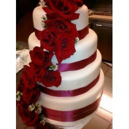 Raspberry Rose