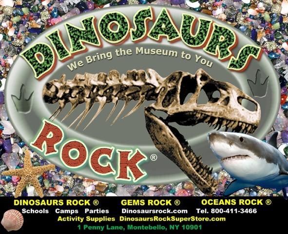 DINOSAURS ROCK Fossil, Mineral, Oceans, Insects...
