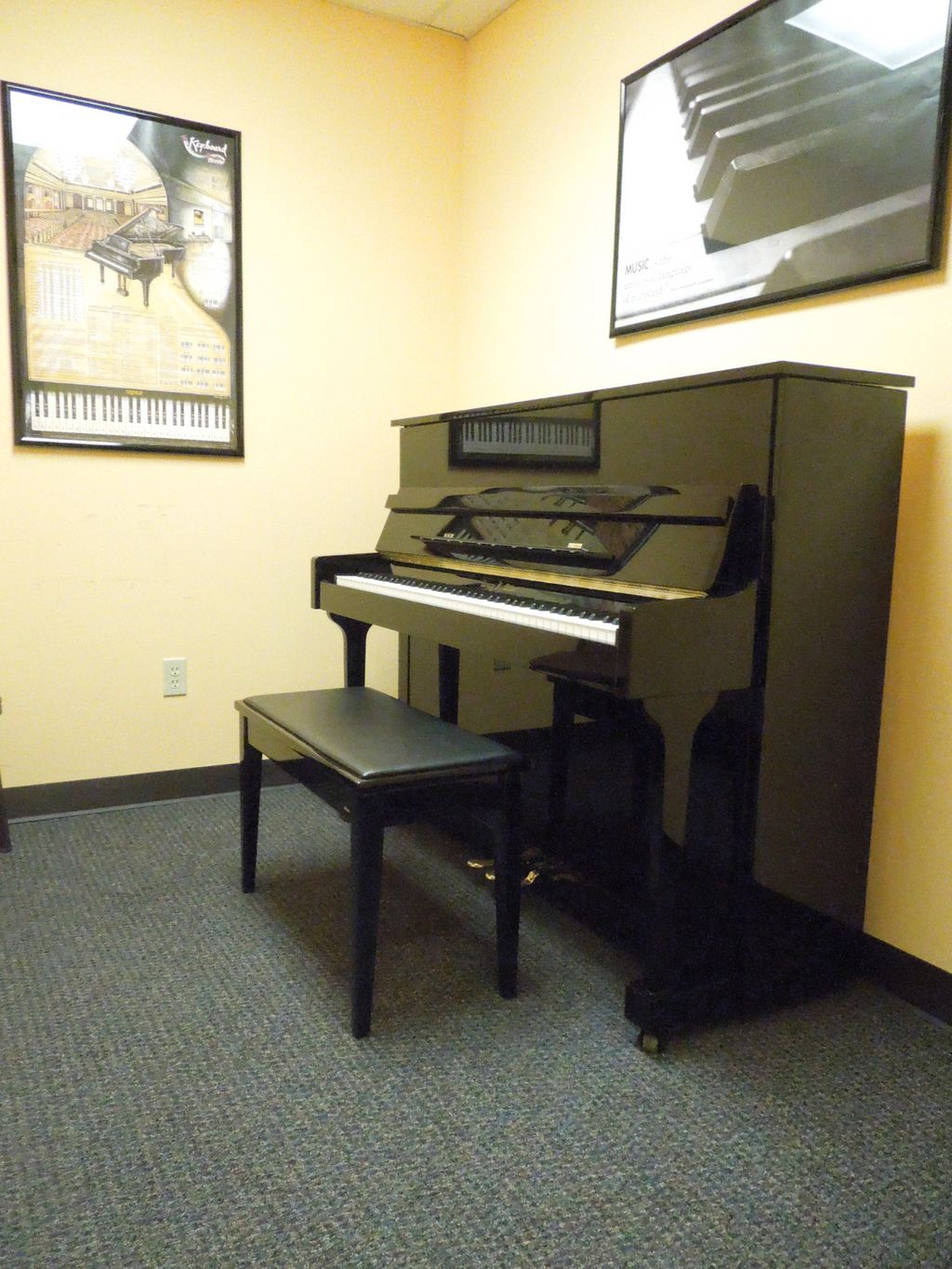 Rockin' Robin Music Lessons 
(Missouri City)