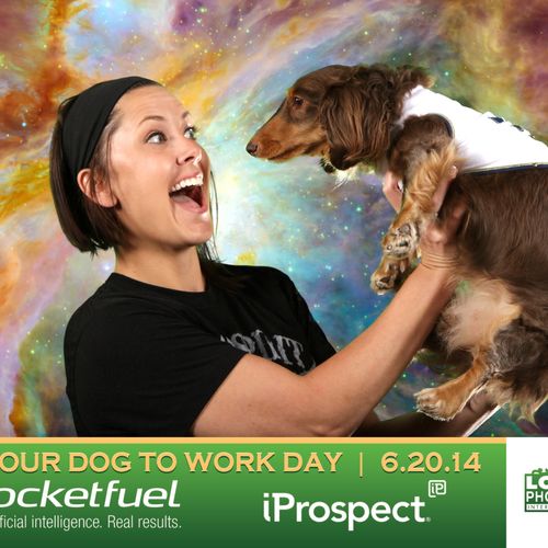 Green screen available! (Wiener dogs NOT included)