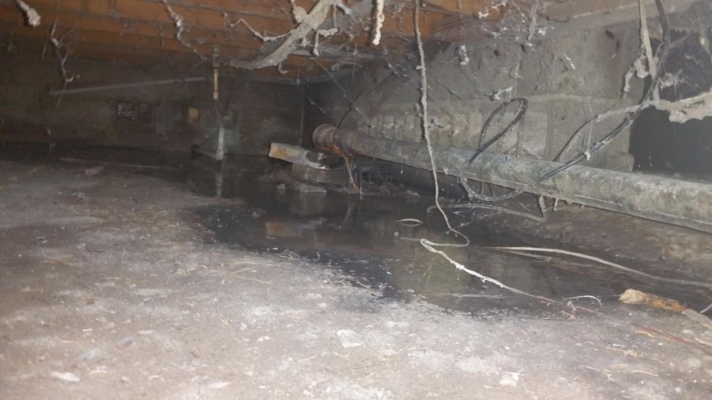 Waste pipe water leak