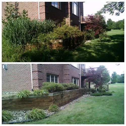 Before and After of clean up weeding Project
