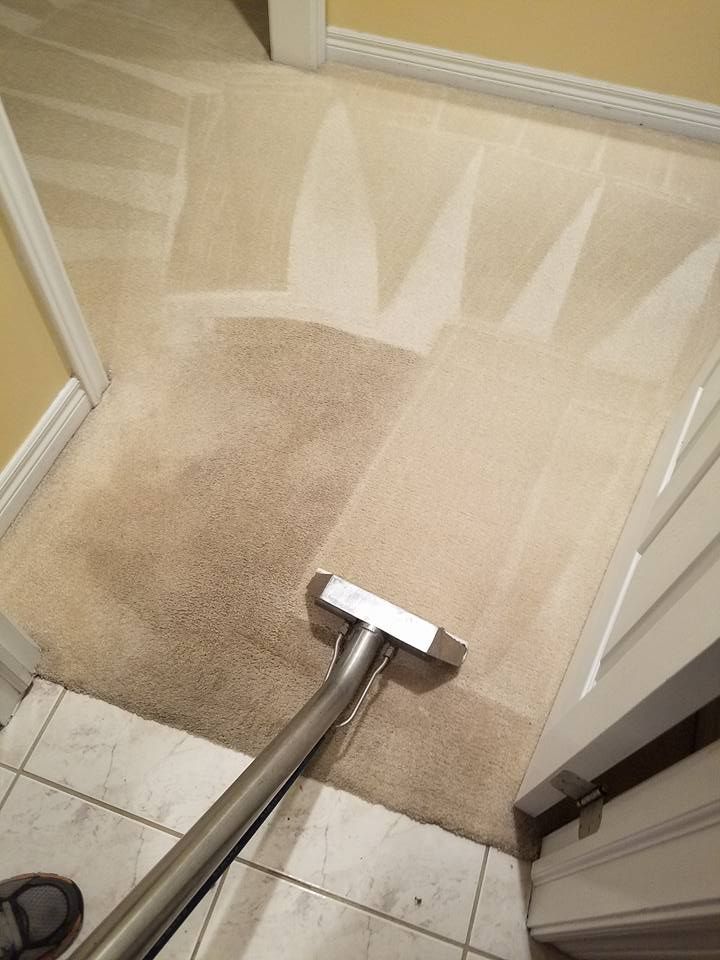 Refresh your carpet ad rejuvenate its softness wit