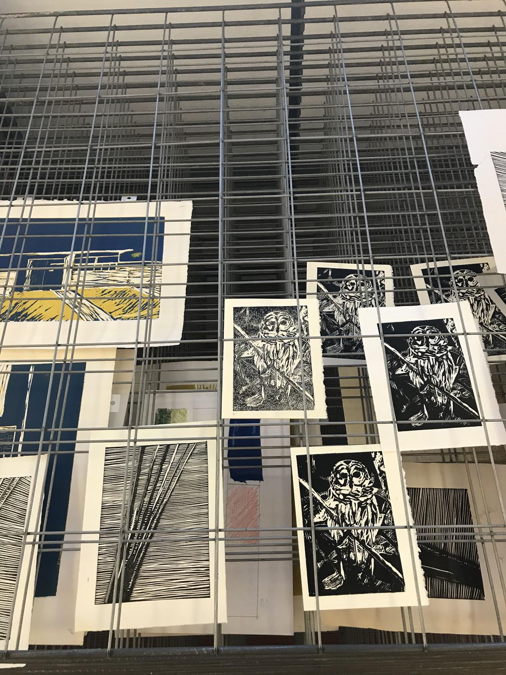 Projects and media
