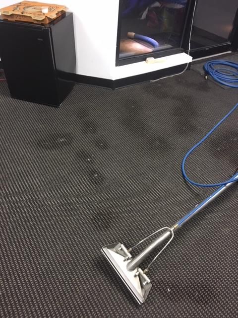 Paint Spots + Dirty Carpet (Before)