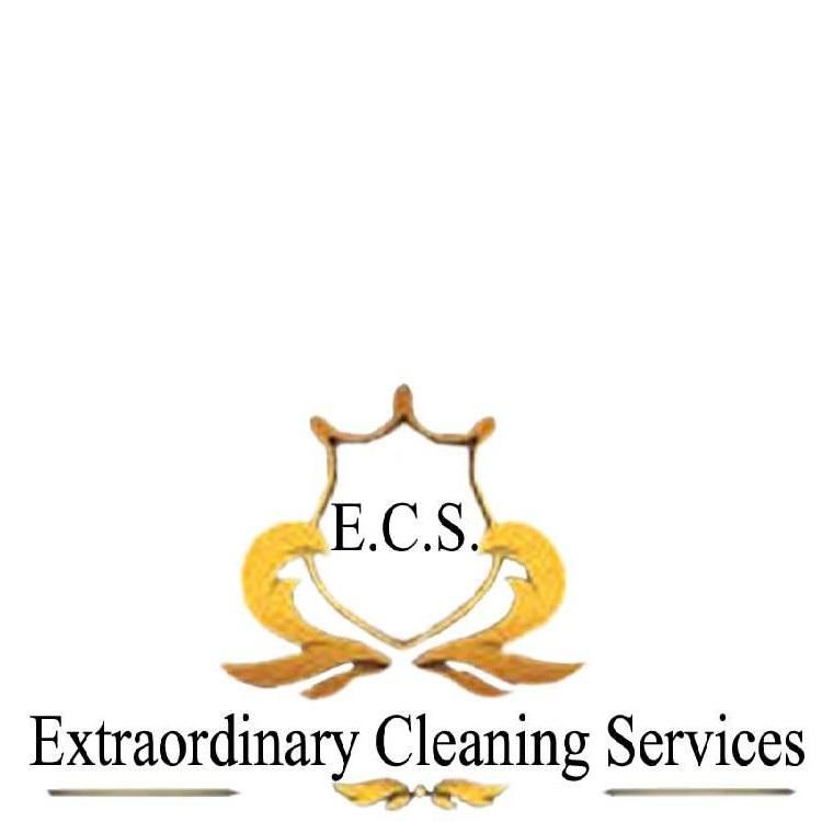 Extraordinary Cleaning Service