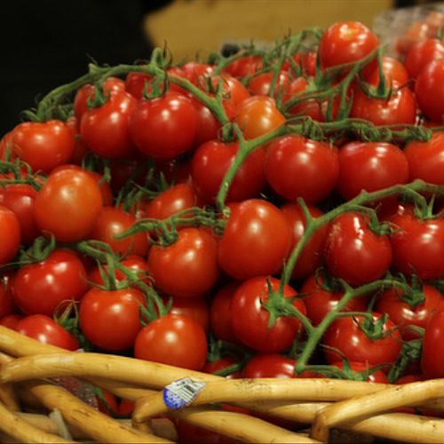 Freshest and locally sourced tomatoes