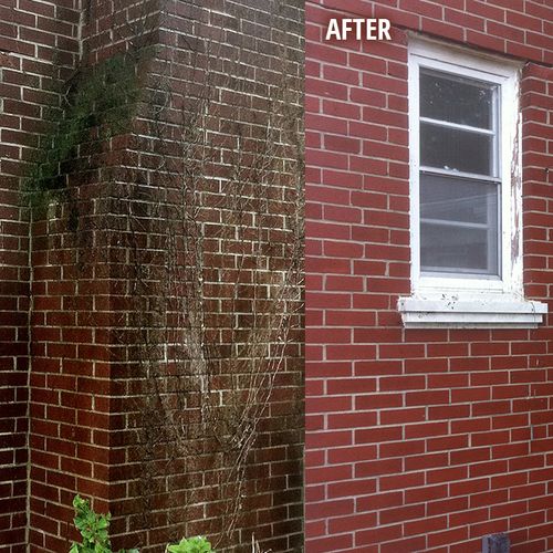 Power Washing before and after