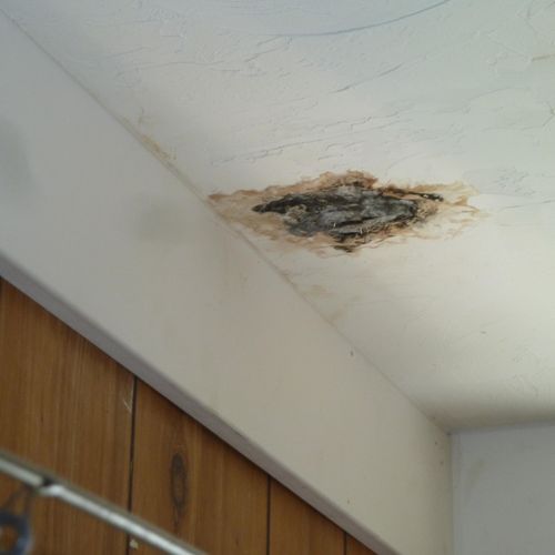 Ceiling leak/moldy