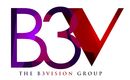 The B3Vision Group