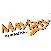 Mayday Wildlife Services