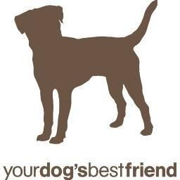 Your Dog's Best Friend