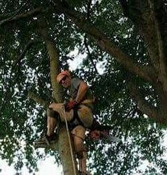Dougan Tree Services