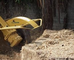 Stump Grinding
