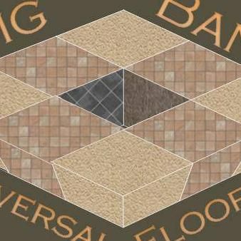 Big Bang Universal FloorCare ™