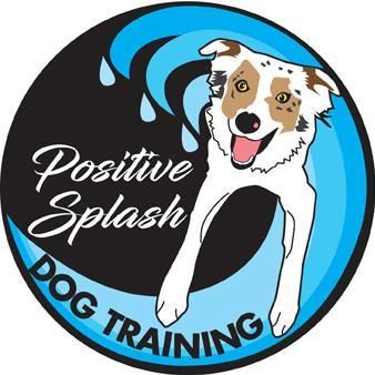 Positive Splash Dog Training & Pet Retreat