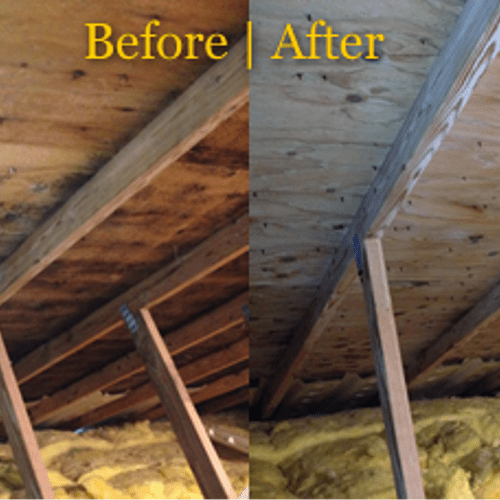 Before and after attic mold remediation.