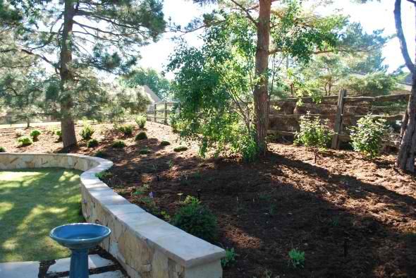 Serpentine retaining wall as a planter